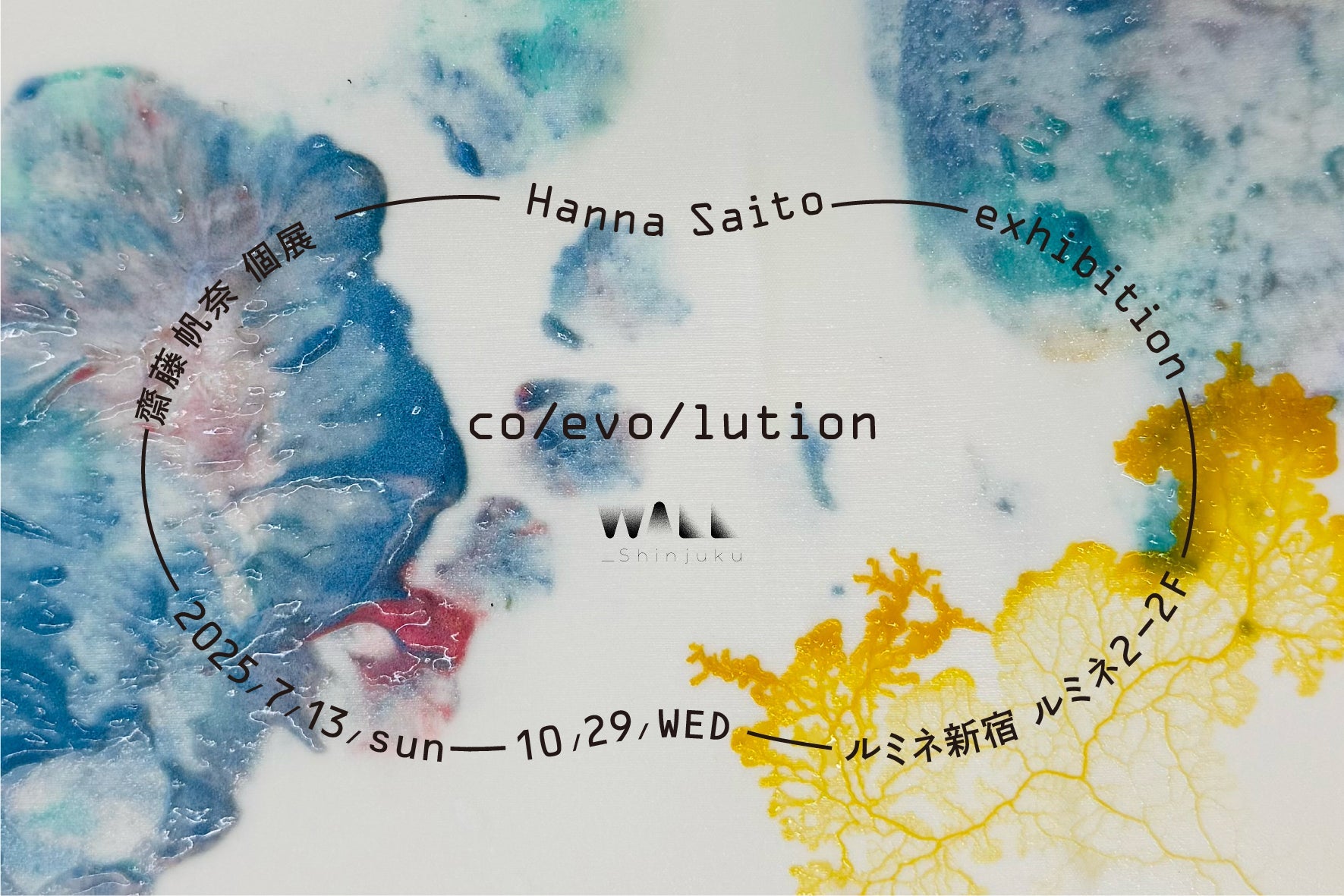 藤井聖子　アート作品 齋藤帆奈 個展「co/evo/lution」